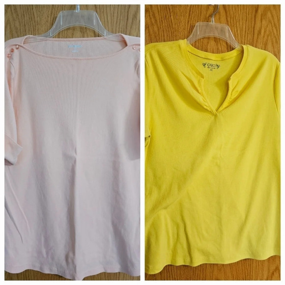 2 TOPS- CATO AND KIM ROGERS SZ XL - Picture 1 of 6